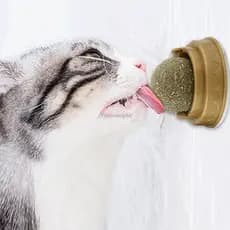 Bola natural para gatos... Alívio na sensação de bola de pelos.
