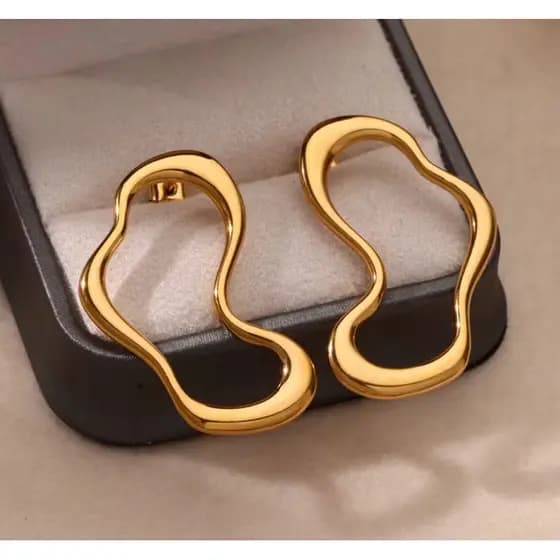 Brinco Orgânico Minimalista Elegante Tendência