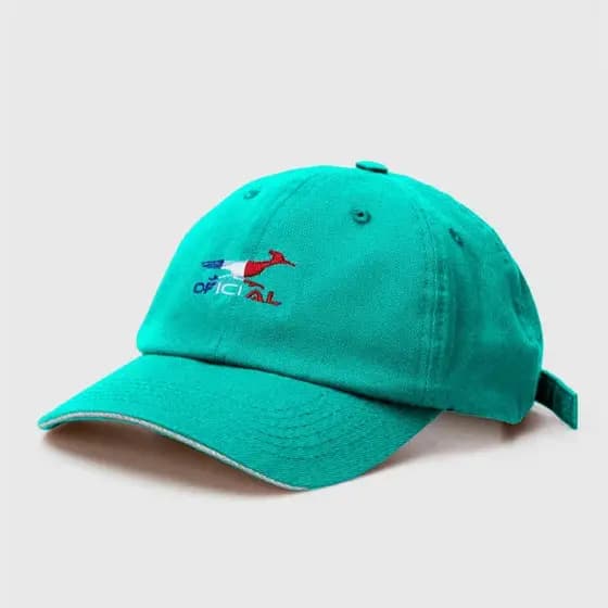 Boné Aba Curva Dad Hat França Oficial The Embroidery French Verde Agua