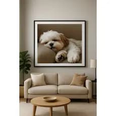 Quadro Decorativo Sala Escritorio Moderno Pet Moldura Cachorro Animal Minimalista