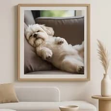 Quadro Decorativo Pet Cachorrinho Lindo Sala  Placa Amor Caozinho Amigo Peludo Moderno Personalizado