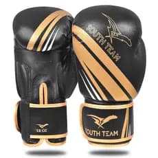 Luva de Boxe Profissional Pro10 South Team Treino Muay Thai Kickboxing