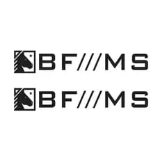 2 Adesivos BF///MG caminhonete decorativo PRETO