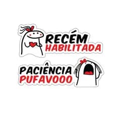 Adesivo Divertido para motorist4 inic1ante Carro Moto Meme Flork