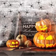 Kits Teia de Aranha Branca Preta Laranja Algodão para Halloween Festas Decoração Artigo de Festas Brinquedo