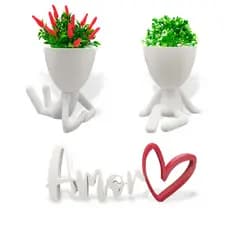Kit Decoração Criativa Sala Cozinha - Vasos + Plantas + Amor