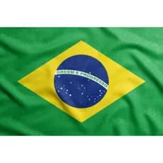 Bandeira Brasil Padrão Premium para Copa, Jogos e Decoração