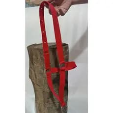 Cabresto Fabricado em Fita de Nylon Resistente Para Novilha. Oferta