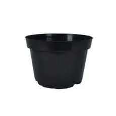 Kit 50 Vasos Pote 11 de 430 ml Cor Preta Para Suculentas, Violetas, Cactos, Mudas e Artesanato