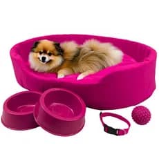 Kit Pet Pequeno Cama Europa Potes Água Ração Coleira Bolinha
