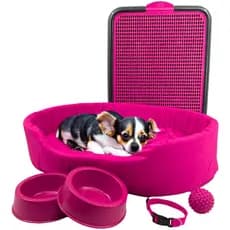 Kit Pet Pequeno Cama Europa Sanitário Comedouro Coleira Bola
