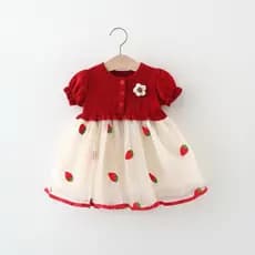 Vestido infantil menina vermelho na jardim festa com florzinha tule bordada