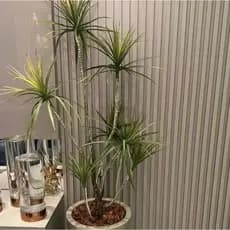 planta artificial yucca 4 galhos 1mt sem o vaso