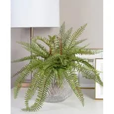 planta samambaia artificial 65cm com print sem o vaso
