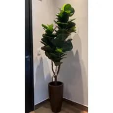 planta ficus lyrata artificial 1.10 mt o vaso não acompanha