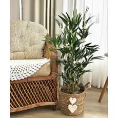 planta bambu artificial 5 hastes 1mt o vaso não acompanha