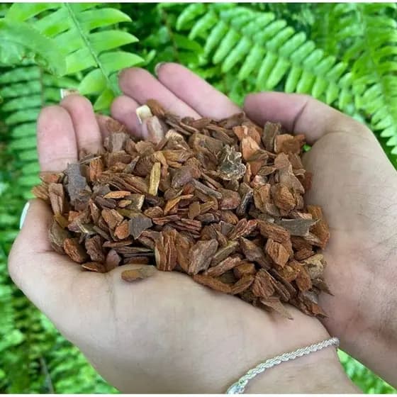 casca de pinus 1kg para decoração vaso .