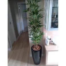 planta bambu artificial 4 haste 1 mt /o vaso não acompanha.