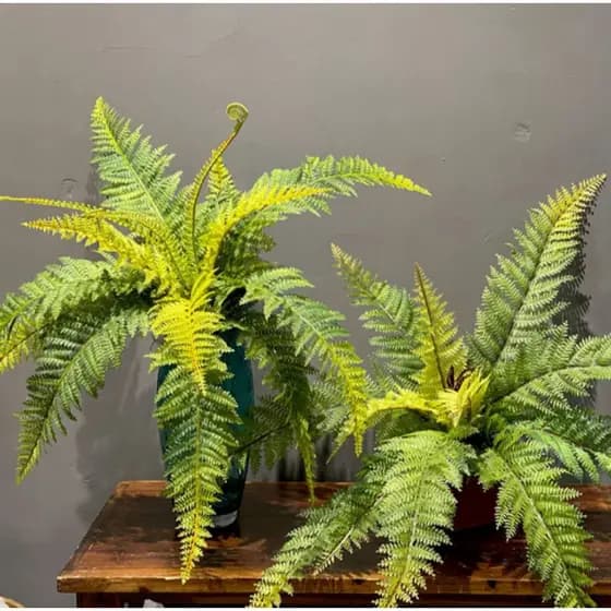 planta artificial kit com 4 samambaias portuguesa 55 cm