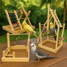 Kit Playground (3 UNIDADES), para Calopsita, Aves