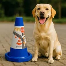 Postinho Sanitário para Cachorro – Adestramento Xixi, Postinho Plástico Resistente