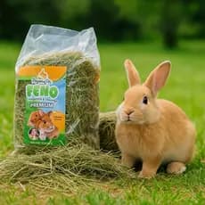Feno Premium Para Coelho, Hamster, Porquinho Da Índia 1kg