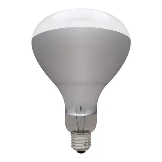 LÂMPADA INC INFRA SECAGEM 250W 2,7k 220V