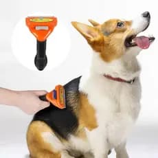 Escova Rasqueadeira Média Profissional para Cães de Pelos Longos– Sem Dor e Sem Puxar