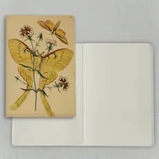 Caderno Journal Capa Flexível Pontilhado Em Papel Pólen  Bold 90g Com 64 Folhas 13,5X20