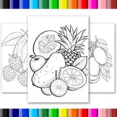 Desenhos para colorir ou esboços para pintura em pano de prato V3 Frutas e legumes- 50 Folhas soltas