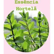 ESSÊNCIA HORTELÃ 100ML