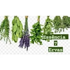 ESSÊNCIA 7 ERVAS 100ML
