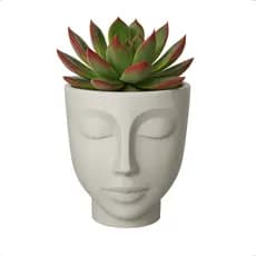 Vaso Cachepot Planta Face Rosto Menino 21cm N21 Nutriplan Terraza Cimento Beje 3,5L Nutriplast