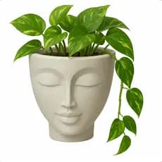 Vaso Cachepot Planta Cabeça Face Rosto Mulher N17 17cm Nutriplan Beje Cimento Nutriplast Polietileno