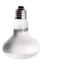 Lâmpada P/ Repteis Uva R63 - Refletora Incand. 60w 230v E27