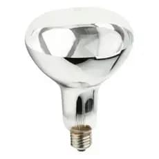 Kit 10 Lampadas Para Aquecer Batata Frita 250w 220v E27