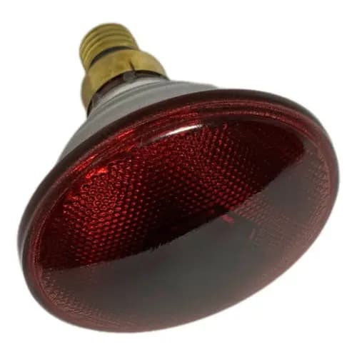 Lâmpada  Infravermelho Medicinal 150w 220v E27  Par38e