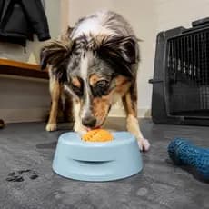 Tigela Anti-Queda Para Lamber Cães , Alimentação Interativa Animais De Estimação , Calmante
