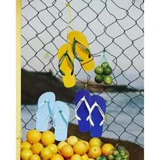 sandalia chinelo havaianas Brasil original