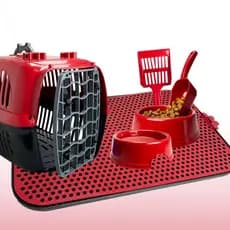 Kit Caixa de Transporte N2 Comedouro Bebedouro c/ Tapete Higiênico Para Cães