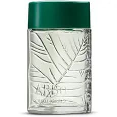 Colônia Masculina Arbo Tradicional 100ml - Frescor e Revigorante, Conecte-se com a Natureza