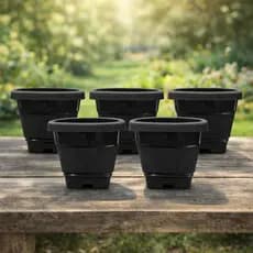 kit 5 mini vasos de plastico para plantas