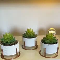 3 Vasos Cachepot Decorativo Com Suporte Para Mini Cactos ou Suculentas ou Plantas Artificiais ou Plantas Naturais
