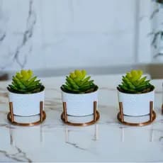 Kit 3 Vasos Cachepot Colmeia Decorativo Com Suporte Para Mini Cactos ou Suculentas ou Plantas Artificiais e Naturais
