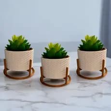 3 Vasos Cachepot Decorativo Com Suporte Para Mini Cactos ou Suculentas ou Plantas Artificiais ou Plantas Naturais