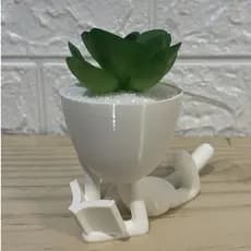 Vaso Suculenta Decorativos Robert Plant, Bob Plant - Lendo Livro