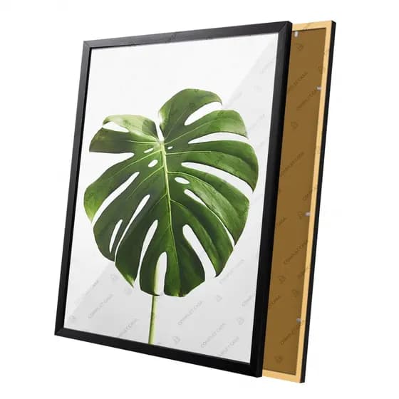 Quadro Flor Folha Verde Costela de Adão Moldura e Vidro