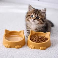 Comedouro e Bebedouro Plástico/ Design Divertido e Funcional Ideal Para Gatos Gatinhos