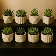 Kit Vasinhos Decorativos para Plantas Artificiais Suculenta Feito em Gesso ENVIO FULL