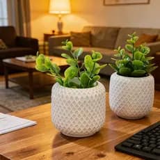 Kit 2 Vasinhos de Plantas Suculentas Vaso Decorativo em Gesso para e Cactos Decoração Salas Pequena